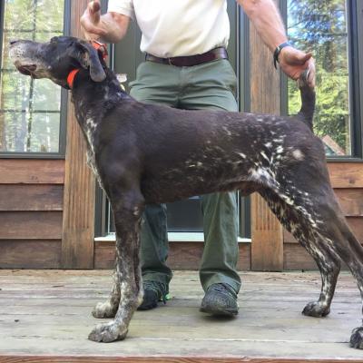 Ben Quetta Von Seiger Boss. Male. Great Ones