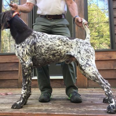 Booger Babs Con Seiger Boss