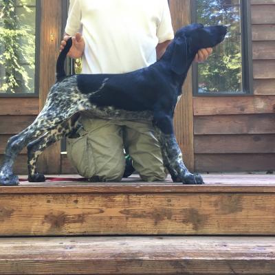 Steffi Bonnie Von Seiger Boss